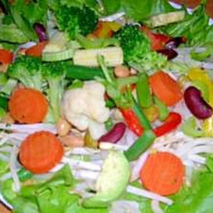 洋風野菜と豆とアボガドのサラダ